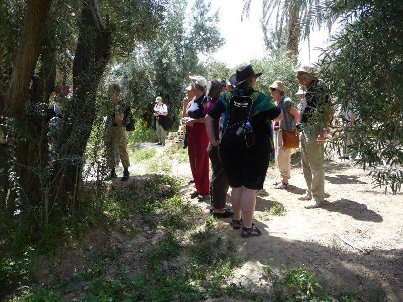 P1030564.JPG